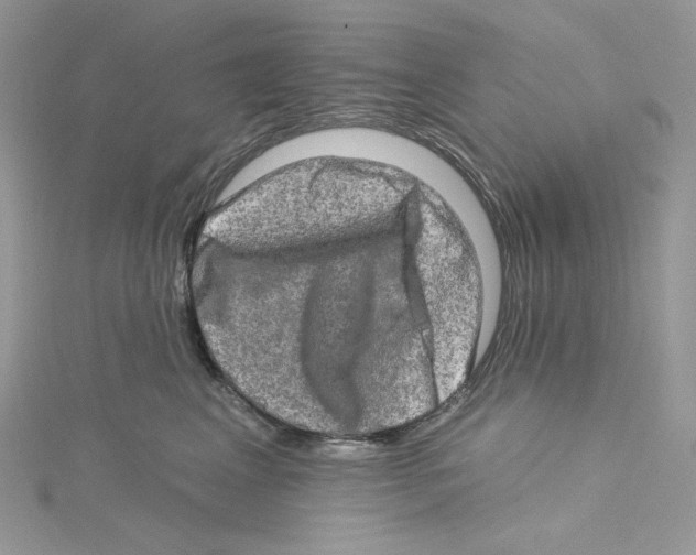 X0000114650617200911171051