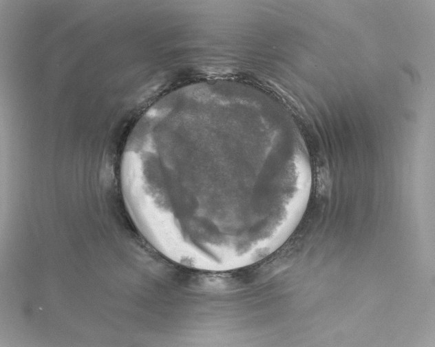 X0000114650618200911171051