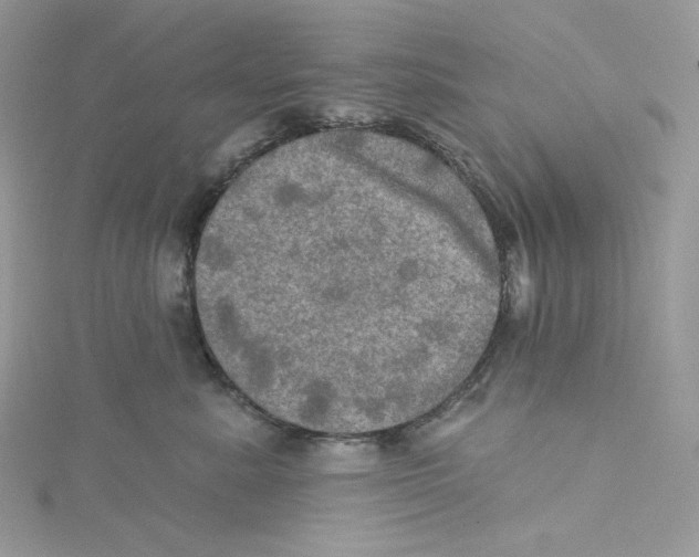 X0000114650619200911171051