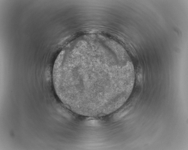 X0000114650620200911171051