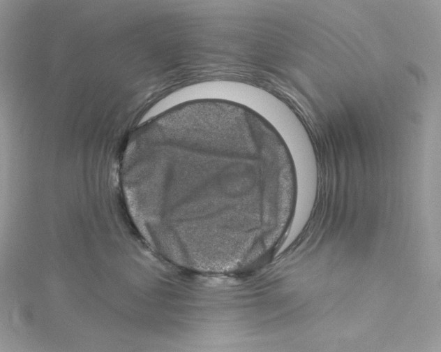 X0000114650621200911171051