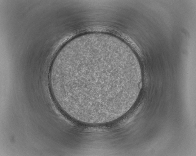 X0000114650625200911171051