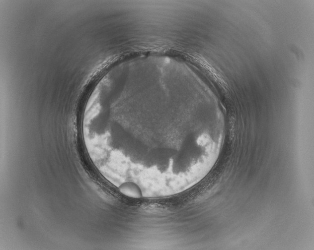 X0000114650634200911171051