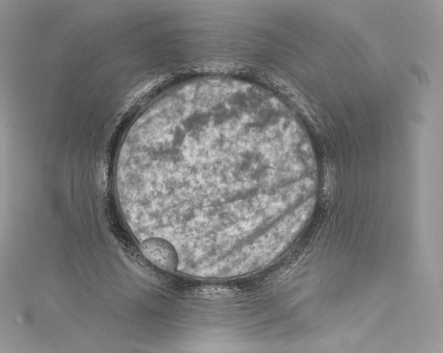 X0000114650636200911171051