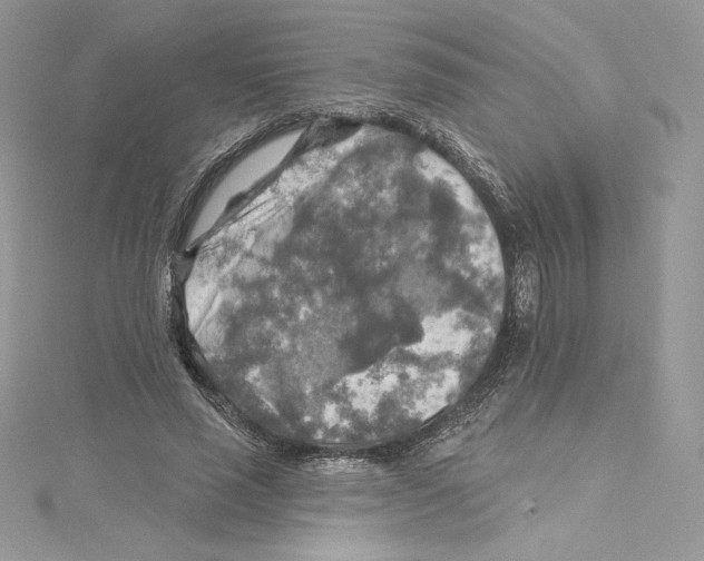 X0000114650637200911171051