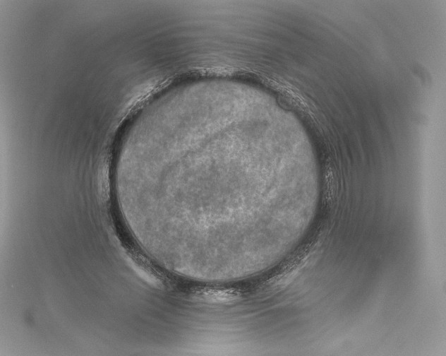 X0000114650638200911171051