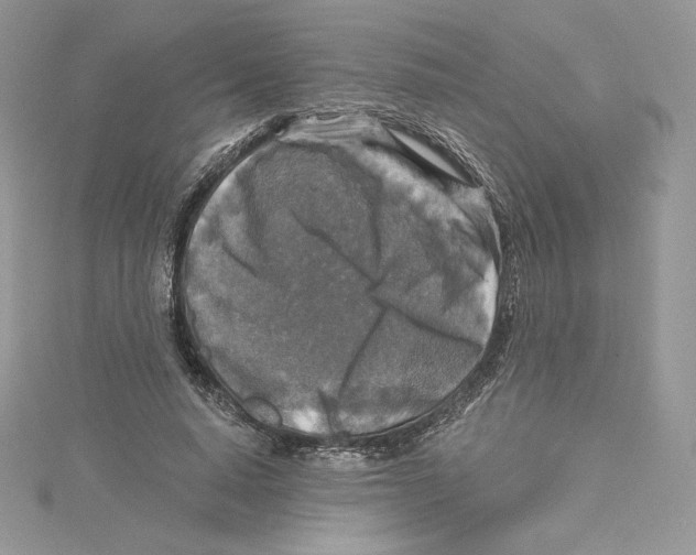 X0000114650640200911171051