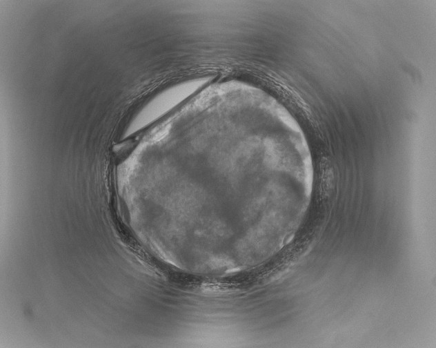 X0000114650641200911171051