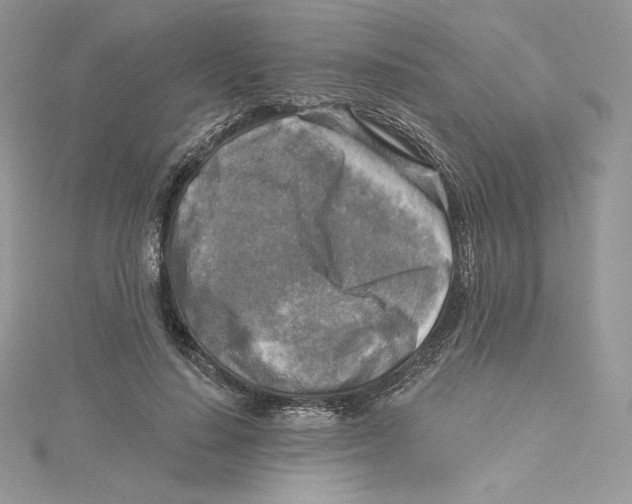 X0000114650644200911171051