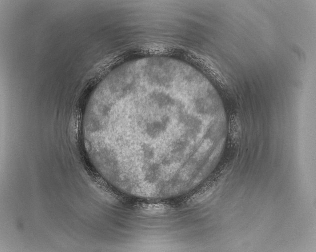 X0000114650645200911171051