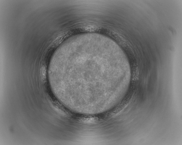 X0000114650646200911171051