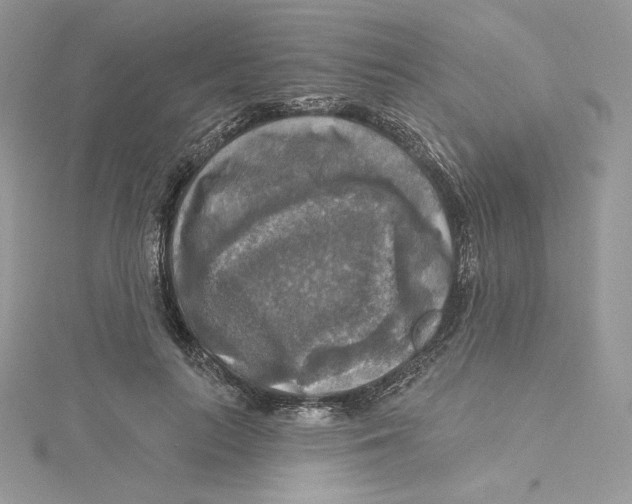 X0000114650647200911171051