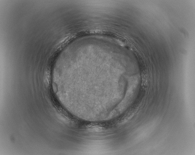 X0000114650648200911171051