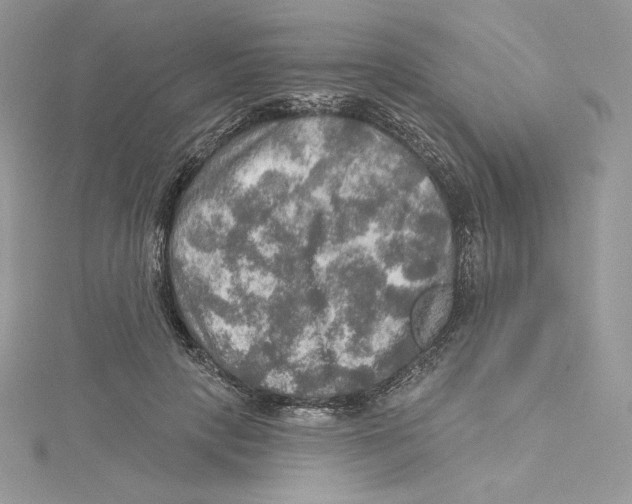 X0000114650649200911171051