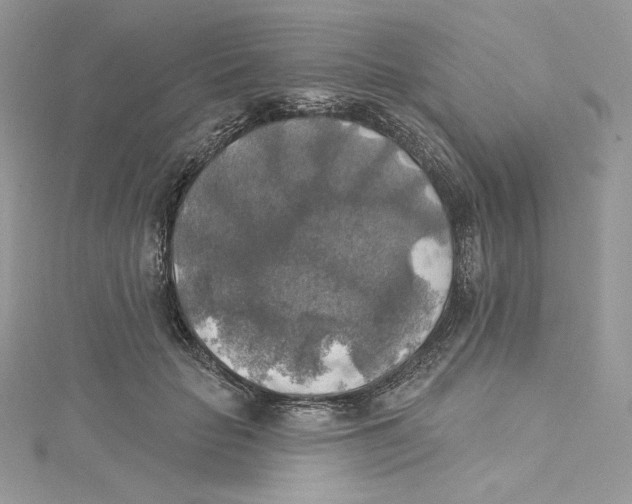 X0000114650653200911171051