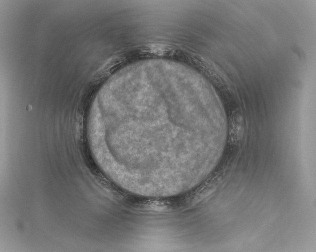 X0000114650656200911171051