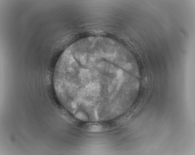 X0000114650658200911171051