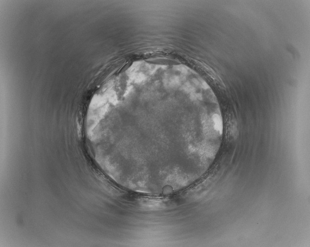 X0000114650661200911171051