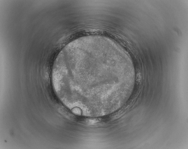 X0000114650662200911171051