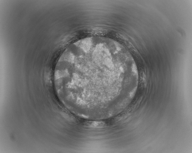 X0000114650663200911171051