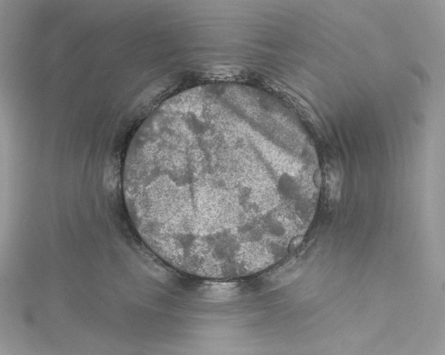 X0000114650665200911171051