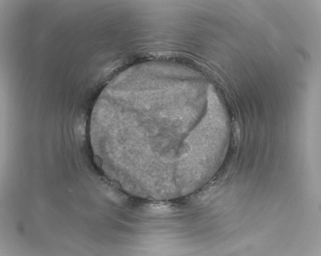 X0000114650668200911171051