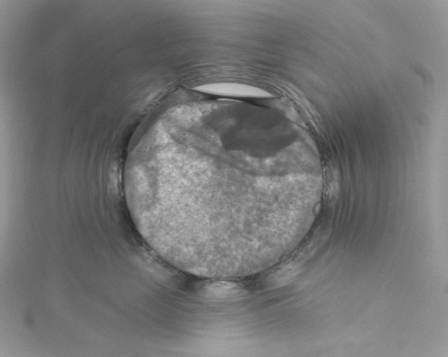 X0000114650669200911171051