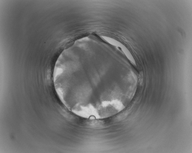 X0000114650670200911171051