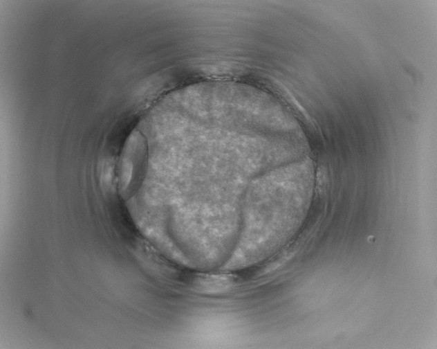 X0000114650671200911171051