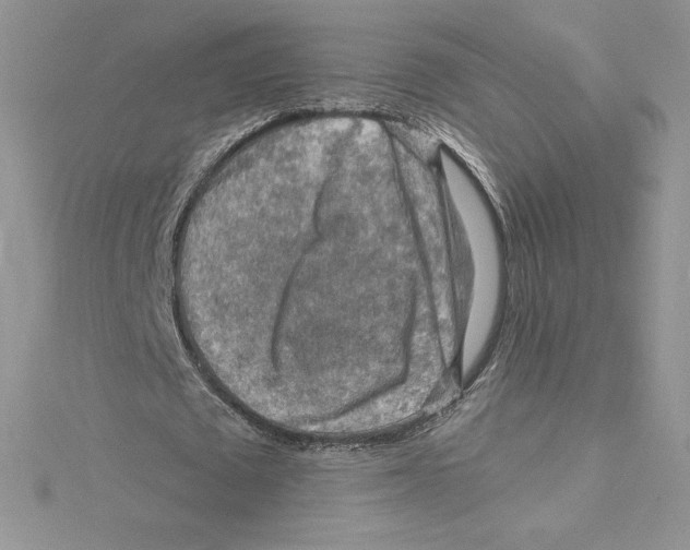 X0000114650673200911171051