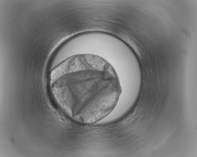 X0000114650676200911171051