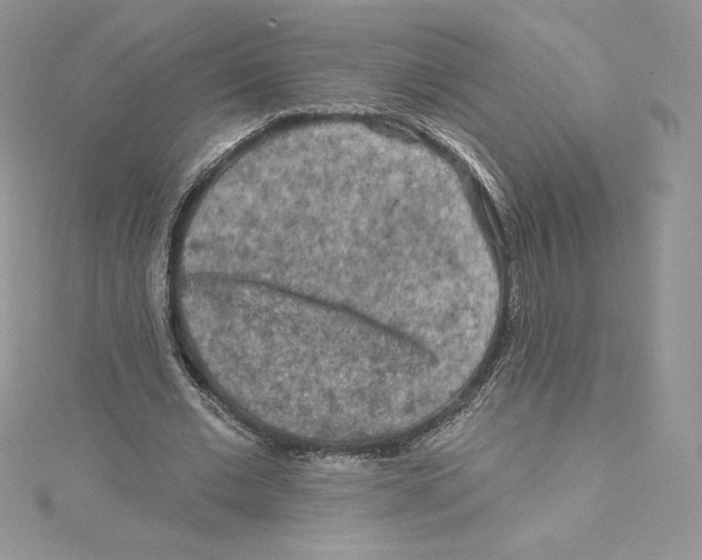 X0000114650677200911171051