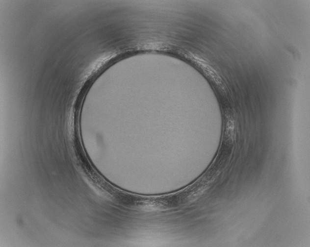 X0000114650678200911171051