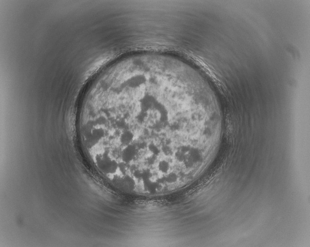 X0000114650679200911171051