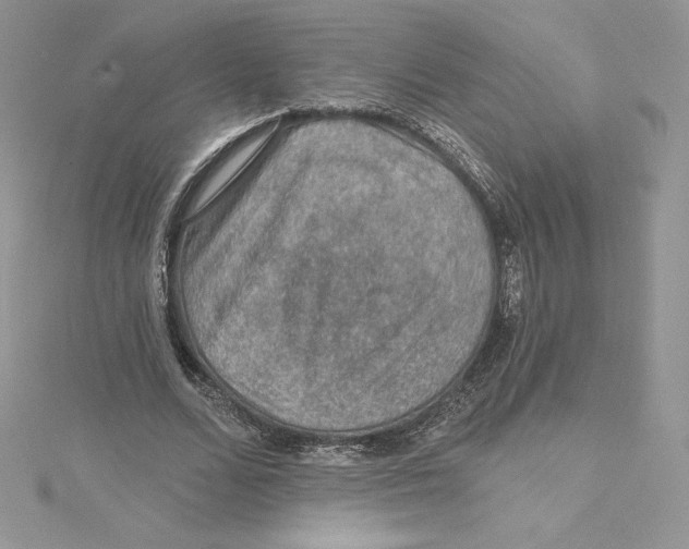 X0000114650680200911171051