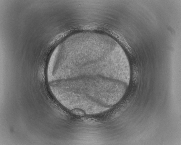 X0000114650681200911171051