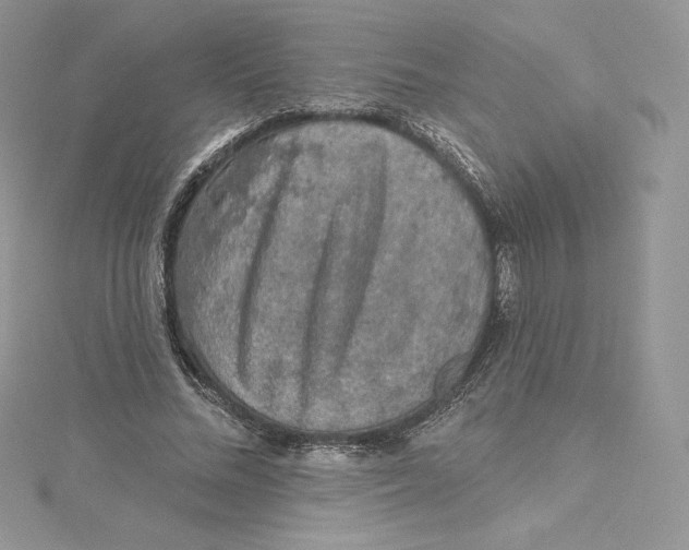 X0000114650684200911171051