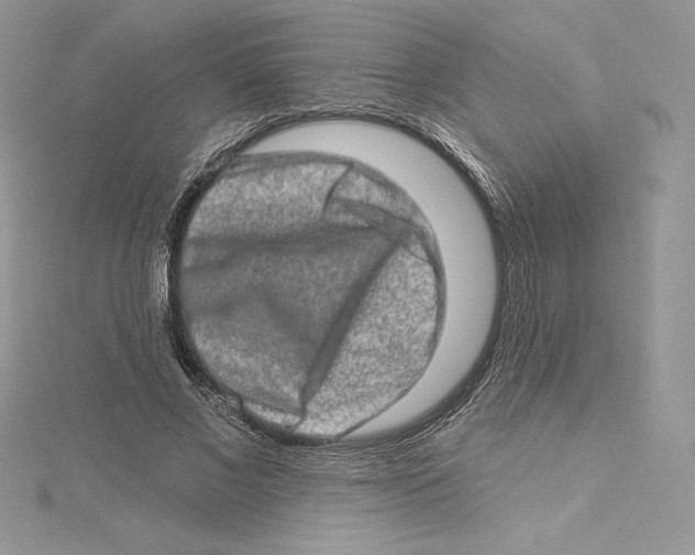 X0000114650685200911171051