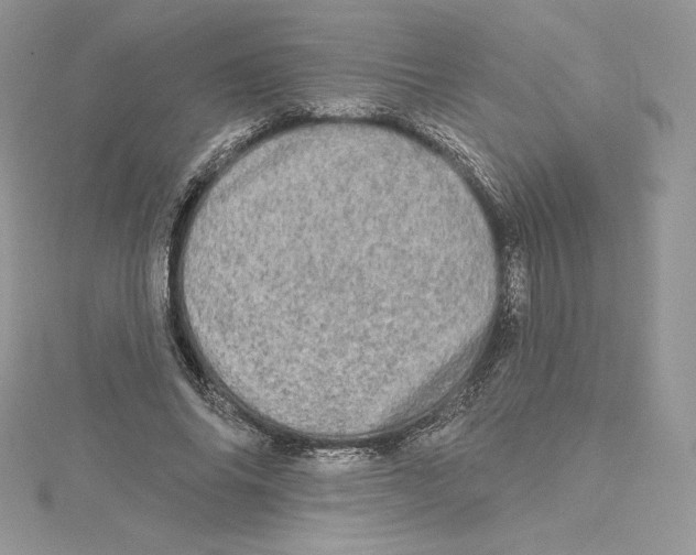 X0000114650686200911171051