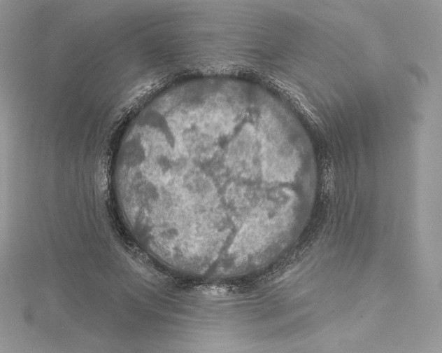 X0000114650687200911171051