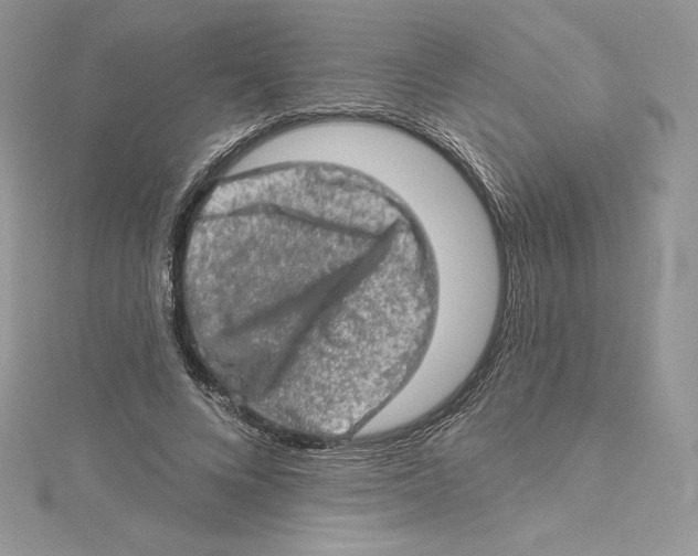 X0000114650688200911171051