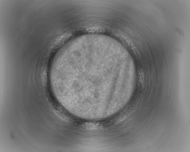 X0000114650690200911171051