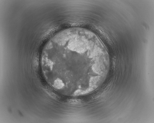 X0000114650691200911171051