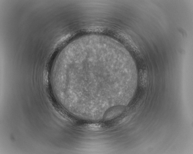 X0000114650692200911171051