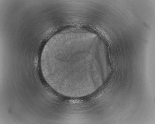 X0000114650693200911171050