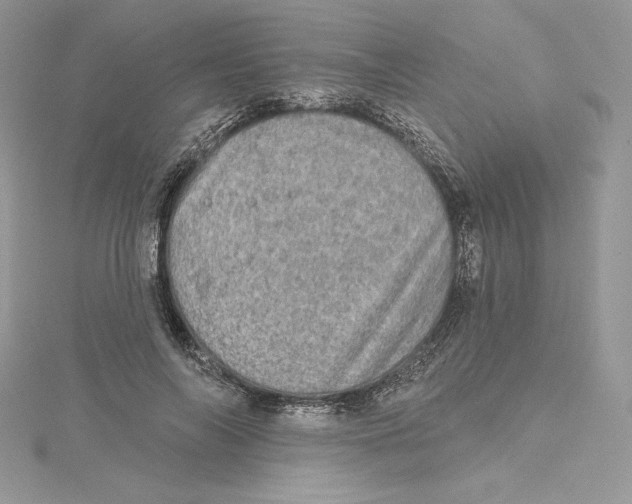 X0000114650694200911171050