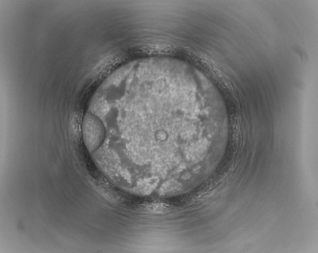 X0000114650695200911171050