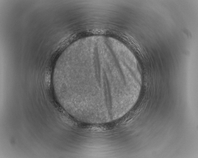 X0000114650697200911171050