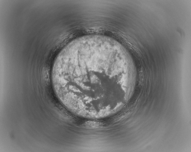 X0000114650699200911171050