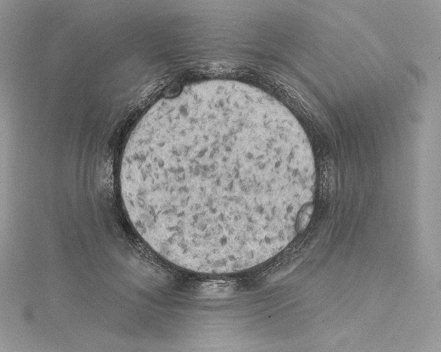 X0000114650700200911171050